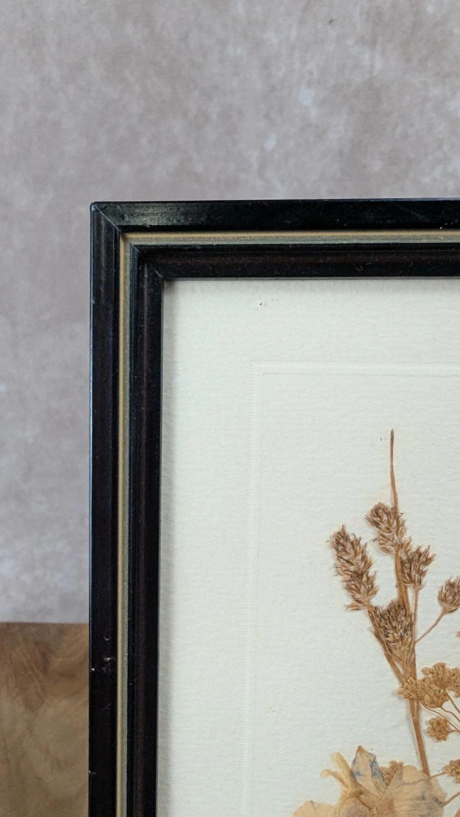 Petit cadre herbier ancien – fleurs séchées naturelles