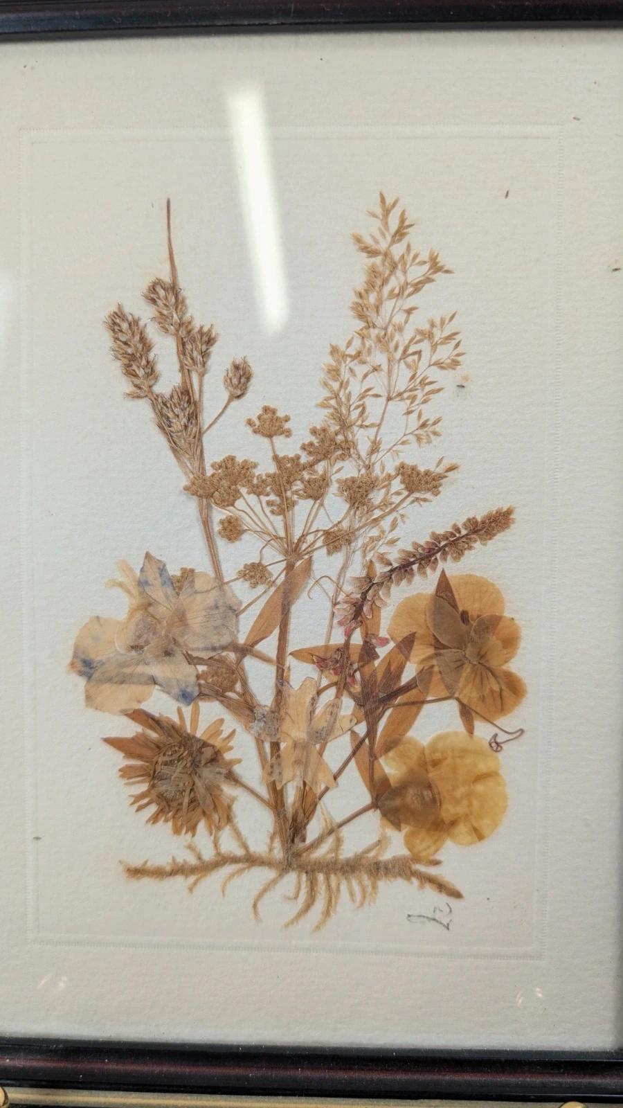 Petit cadre herbier ancien – fleurs séchées naturelles