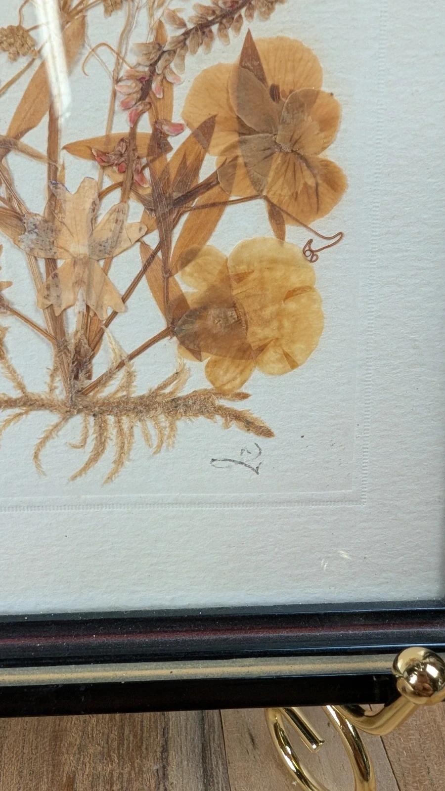 Petit cadre herbier ancien – fleurs séchées naturelles