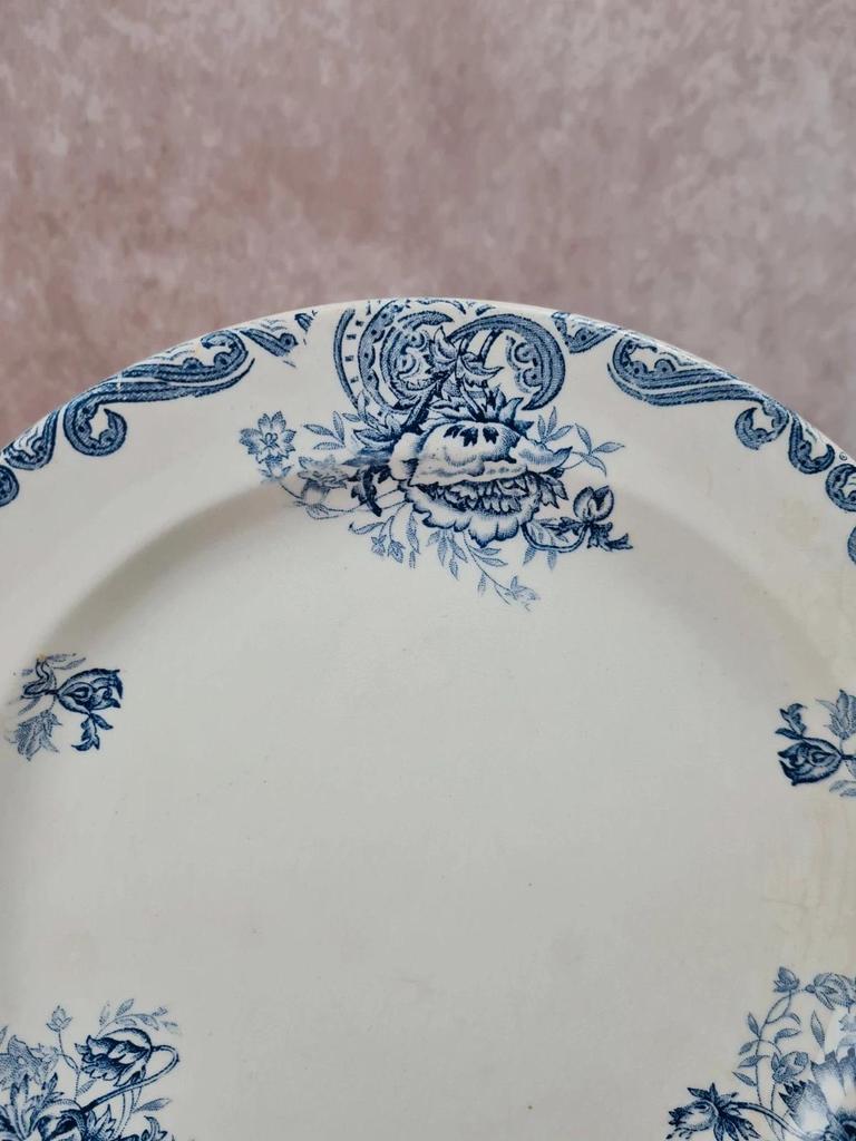 🩵 Plat ancien Lg terre de fer, modèle “pavots” décor bleu 🩵