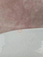 Plat ovale Sarreguemines “montmorency” ancien