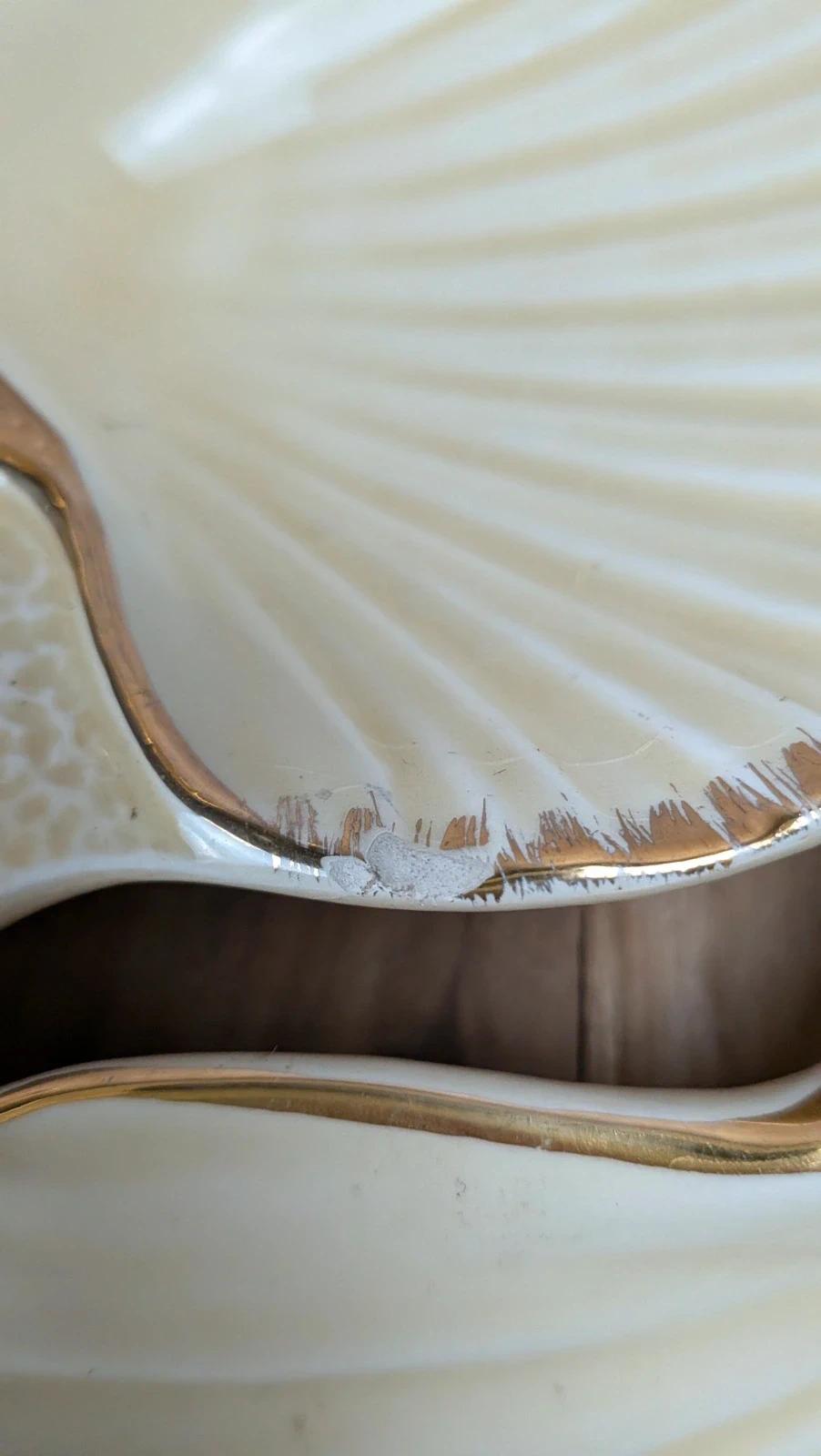 Présentoir coquillage vintage Siloa Paris + 2 coquilles