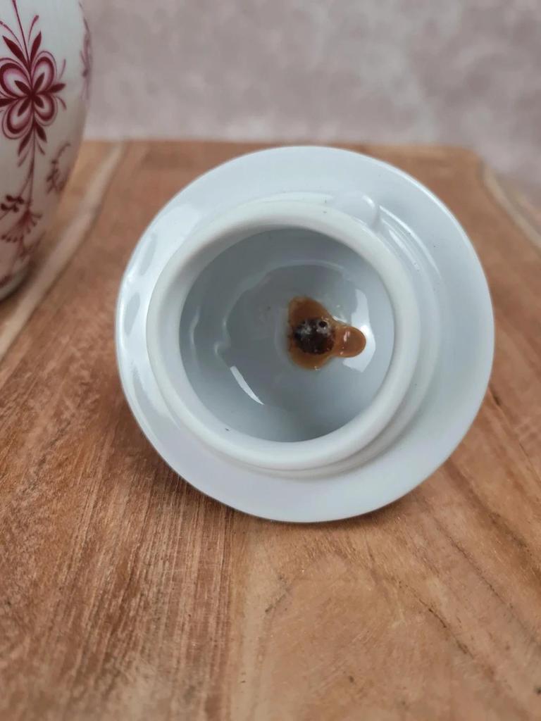 Service à café/thé Bavaria Germany années 50–70