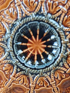 Superbe lot vintage : 12 assiettes à huîtres + grand plat Sarreguemines